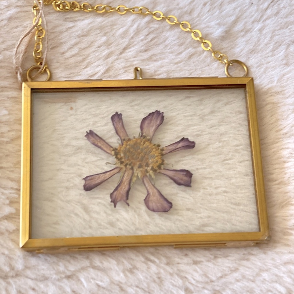 Pressed cosmo flower in gold float frame
